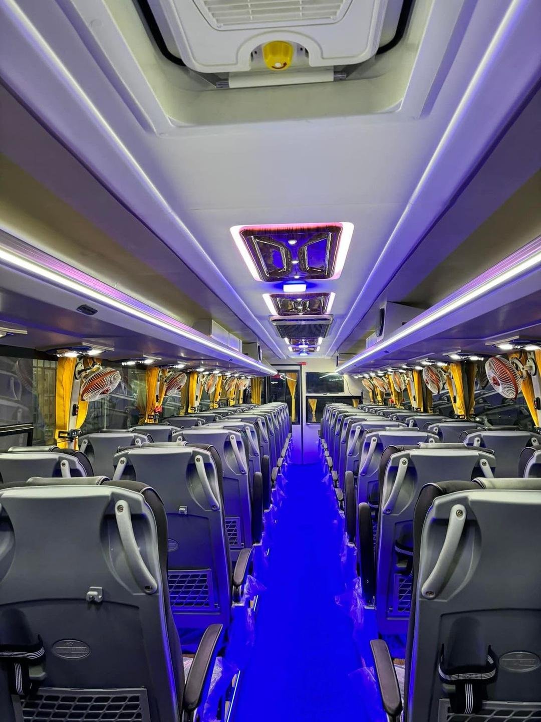 Bus & Coach image 2
