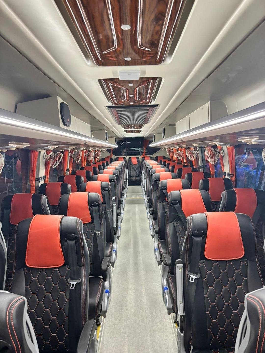 Bus & Coach image 1